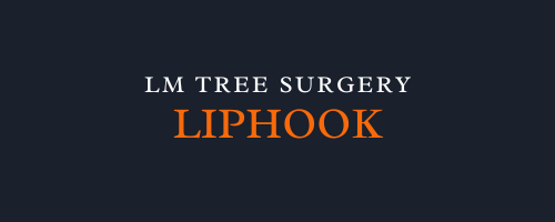 LM Tree Surgery Liphook